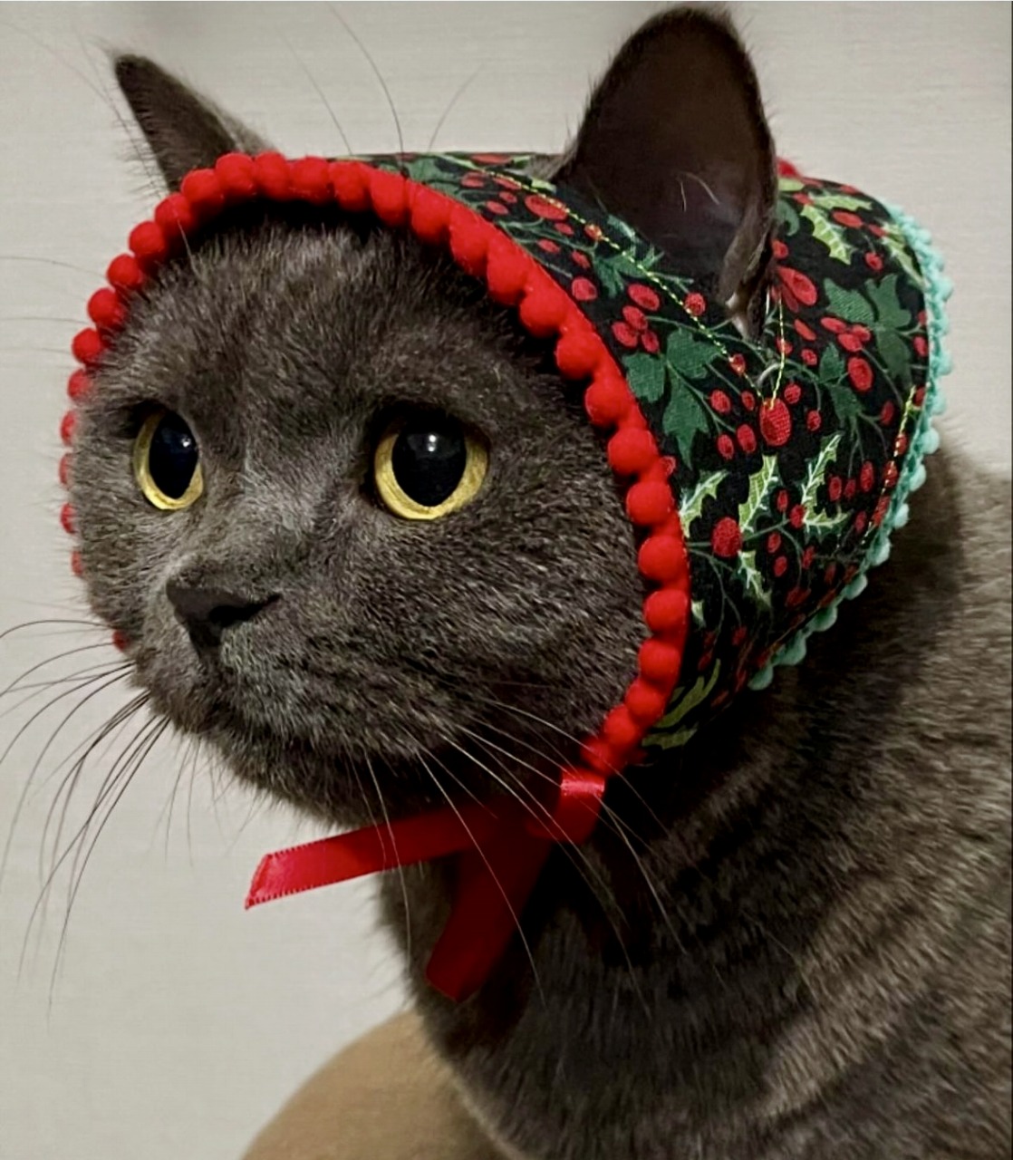 猫|イベント|大阪|関西|ねこ|ハンドメイド|猫グッズ|猫雑貨|即売会|保護猫|里親会|ネコ|ニャンズマーケット|にゃんずまーけっと|にゃんとも|猫好きのための猫グッズ即売会にゃんともニャンズマーケット|京セラドーム|大阪ドーム