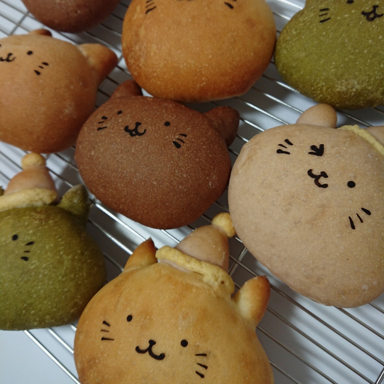 猫|イベント|大阪|関西|ねこ|ハンドメイド|猫グッズ|猫雑貨|即売会|保護猫|里親会|ネコ|ニャンズマーケット|にゃんずまーけっと|にゃんとも|猫好きのための猫グッズ即売会にゃんともニャンズマーケット|京セラドーム|大阪ドーム