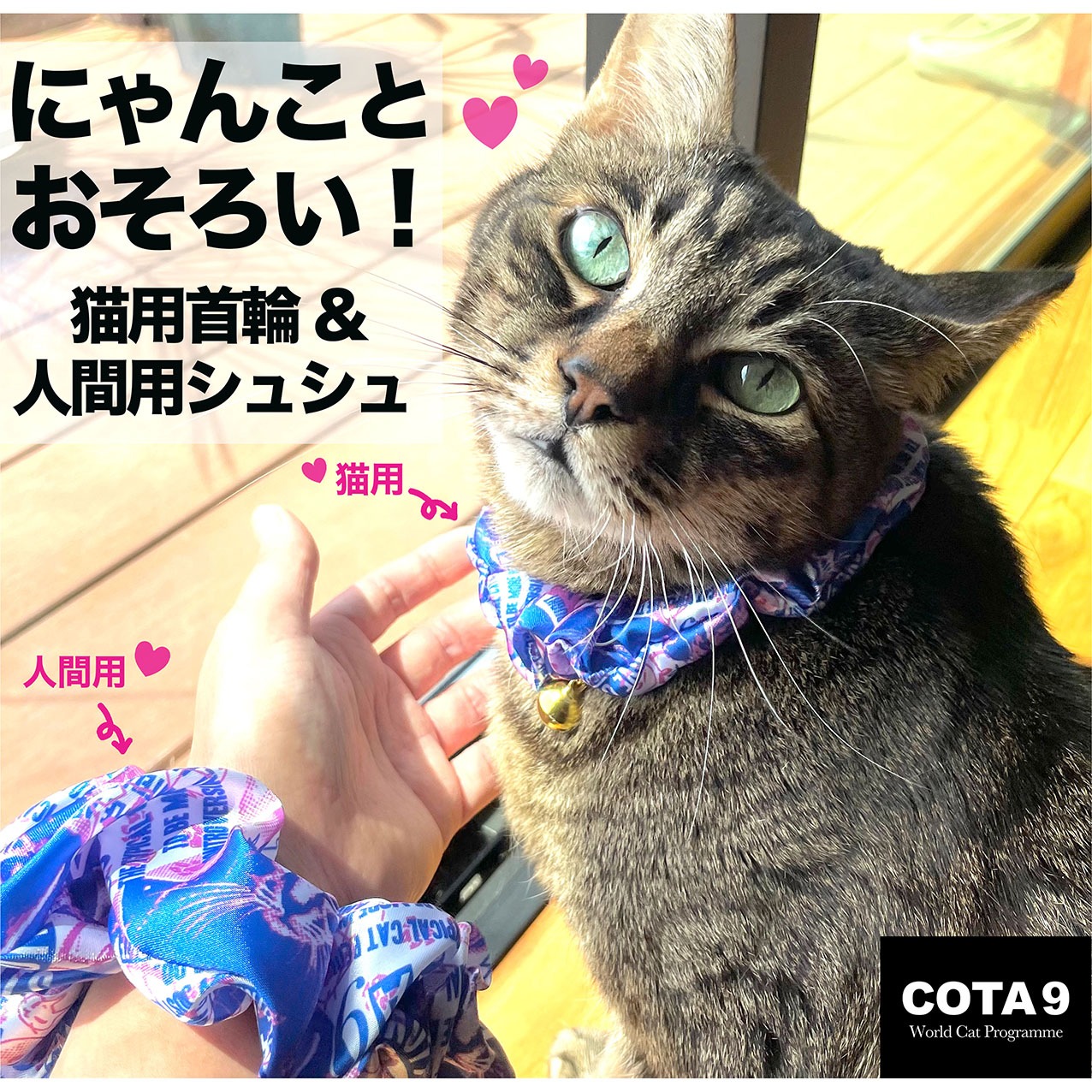 猫|イベント|大阪|関西|ねこ|ハンドメイド|猫グッズ|猫雑貨|即売会|保護猫|里親会|ネコ|ニャンズマーケット|にゃんずまーけっと|にゃんとも|猫好きのための猫グッズ即売会にゃんともニャンズマーケット|京セラドーム|大阪ドーム