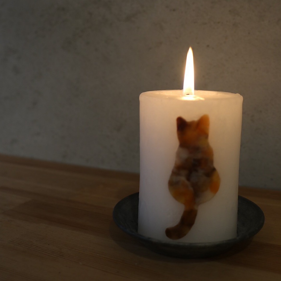 猫|イベント|大阪|関西|ねこ|ハンドメイド|猫グッズ|猫雑貨|即売会|保護猫|里親会|ネコ|ニャンズマーケット|にゃんずまーけっと|にゃんとも|猫好きのための猫グッズ即売会にゃんともニャンズマーケット|京セラドーム|大阪ドーム