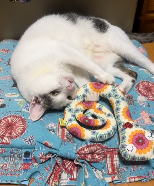 猫|イベント|大阪|関西|ねこ|ハンドメイド|猫グッズ|猫雑貨|即売会|保護猫|里親会|ネコ|ニャンズマーケット|にゃんずまーけっと|にゃんとも|猫好きのための猫グッズ即売会にゃんともニャンズマーケット|京セラドーム|大阪ドーム