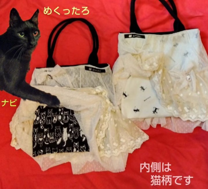猫|イベント|大阪|関西|ねこ|ハンドメイド|猫グッズ|猫雑貨|即売会|保護猫|里親会|ネコ|ニャンズマーケット|にゃんずまーけっと|にゃんとも|猫好きのための猫グッズ即売会にゃんともニャンズマーケット|京セラドーム|大阪ドーム