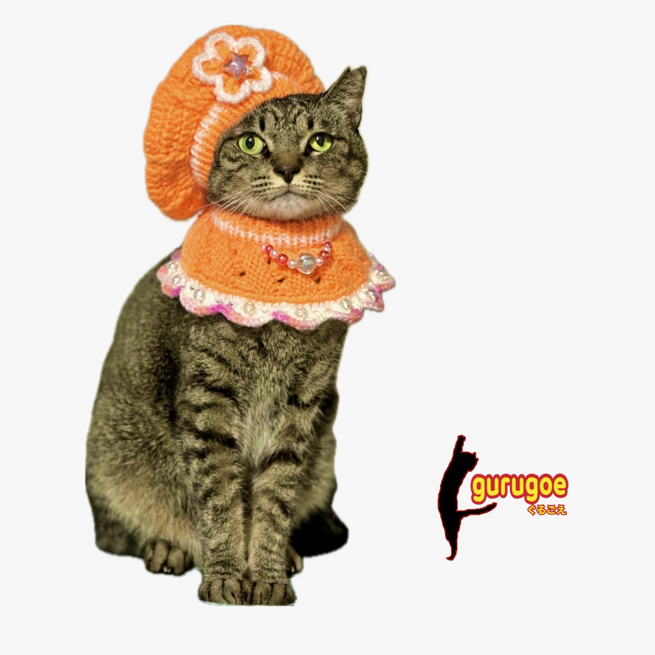 猫|イベント|大阪|関西|ねこ|ハンドメイド|猫グッズ|猫雑貨|即売会|保護猫|里親会|ネコ|ニャンズマーケット|にゃんずまーけっと|にゃんとも|猫好きのための猫グッズ即売会にゃんともニャンズマーケット|京セラドーム|大阪ドーム