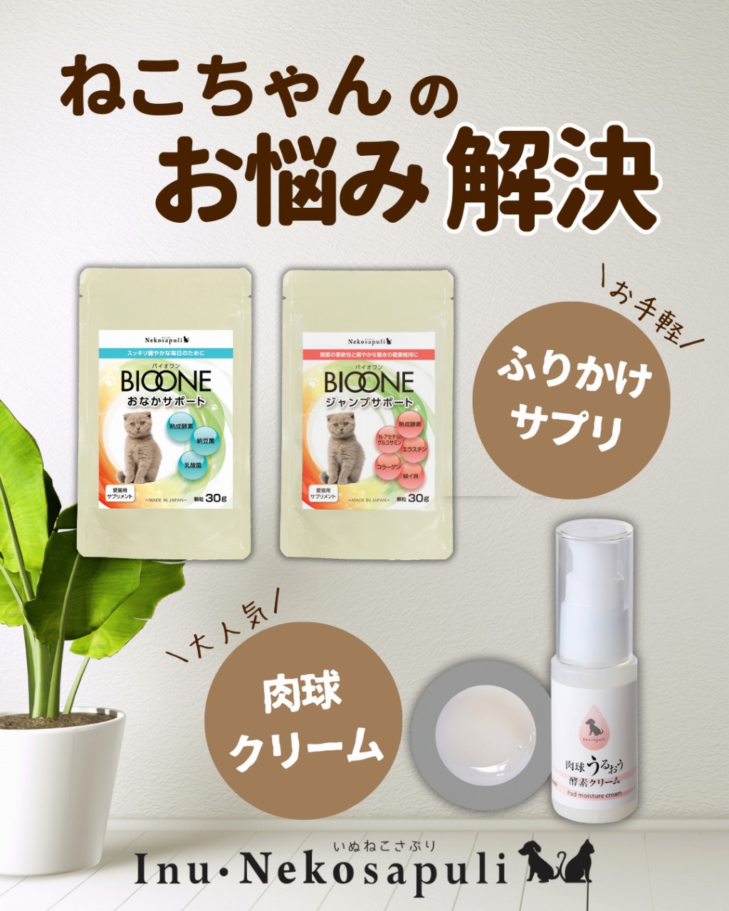 猫|イベント|大阪|関西|ねこ|ハンドメイド|猫グッズ|猫雑貨|即売会|保護猫|里親会|ネコ|ニャンズマーケット|にゃんずまーけっと|にゃんとも|猫好きのための猫グッズ即売会にゃんともニャンズマーケット|京セラドーム|大阪ドーム