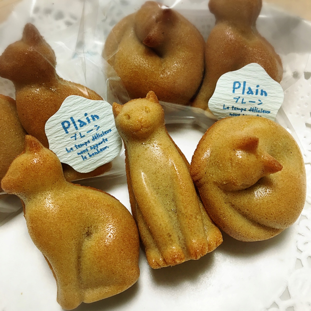 猫|イベント|大阪|関西|ねこ|ハンドメイド|猫グッズ|猫雑貨|即売会|保護猫|里親会|ネコ|ニャンズマーケット|にゃんずまーけっと|にゃんとも|猫好きのための猫グッズ即売会にゃんともニャンズマーケット|京セラドーム|大阪ドーム