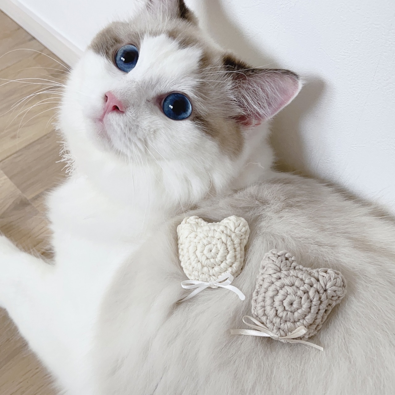 猫|イベント|大阪|関西|ねこ|ハンドメイド|猫グッズ|猫雑貨|即売会|保護猫|里親会|ネコ|ニャンズマーケット|にゃんずまーけっと|にゃんとも|猫好きのための猫グッズ即売会にゃんともニャンズマーケット|京セラドーム|大阪ドーム