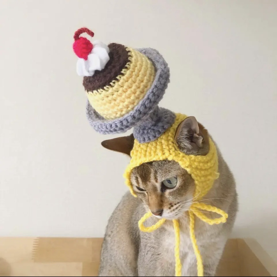 猫|イベント|大阪|関西|ねこ|ハンドメイド|猫グッズ|猫雑貨|即売会|保護猫|里親会|ネコ|ニャンズマーケット|にゃんずまーけっと|にゃんとも|猫好きのための猫グッズ即売会にゃんともニャンズマーケット|京セラドーム|大阪ドーム