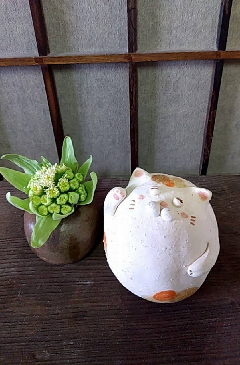 猫|イベント|大阪|関西|ねこ|ハンドメイド|猫グッズ|猫雑貨|即売会|保護猫|里親会|ネコ|ニャンズマーケット|にゃんずまーけっと|にゃんとも|猫好きのための猫グッズ即売会にゃんともニャンズマーケット|京セラドーム|大阪ドーム