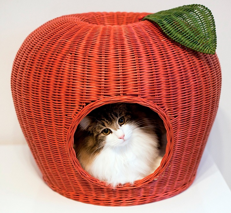 猫|イベント|大阪|関西|ねこ|ハンドメイド|猫グッズ|猫雑貨|即売会|保護猫|里親会|ネコ|ニャンズマーケット|にゃんずまーけっと|にゃんとも|猫好きのための猫グッズ即売会にゃんともニャンズマーケット|京セラドーム|大阪ドーム