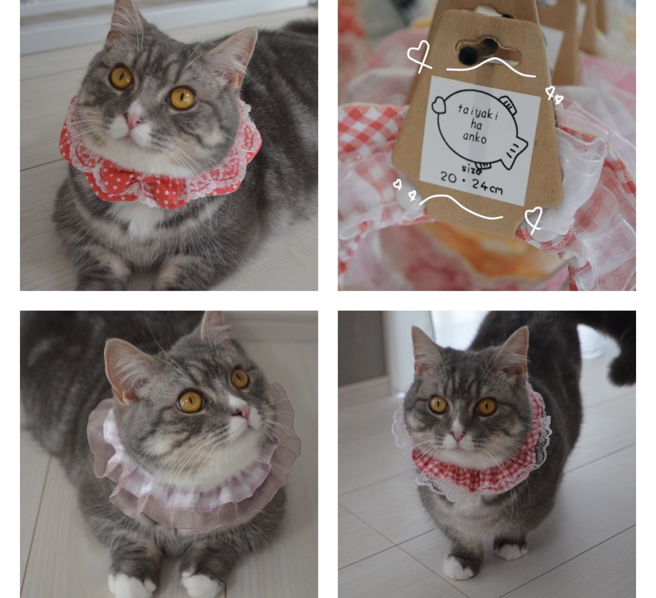 猫|イベント|大阪|関西|ねこ|ハンドメイド|猫グッズ|猫雑貨|即売会|保護猫|里親会|ネコ|ニャンズマーケット|にゃんずまーけっと|にゃんとも|猫好きのための猫グッズ即売会にゃんともニャンズマーケット|京セラドーム|大阪ドーム